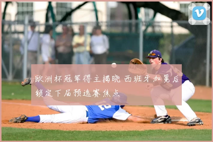 欧洲杯冠军得主揭晓 西班牙加冕后锁定下届预选赛焦点