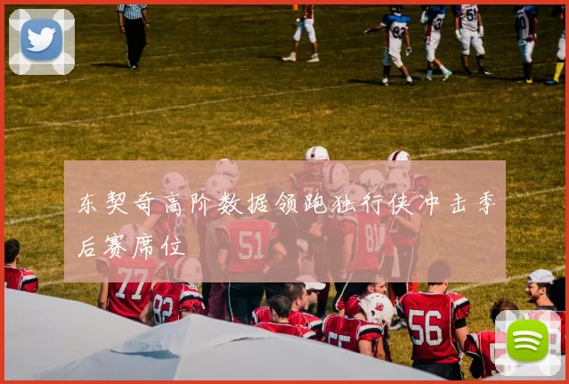 东契奇高阶数据领跑独行侠冲击季后赛席位