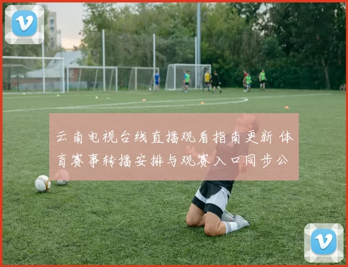 云南电视台线直播观看指南更新 体育赛事转播安排与观赛入口同步公布