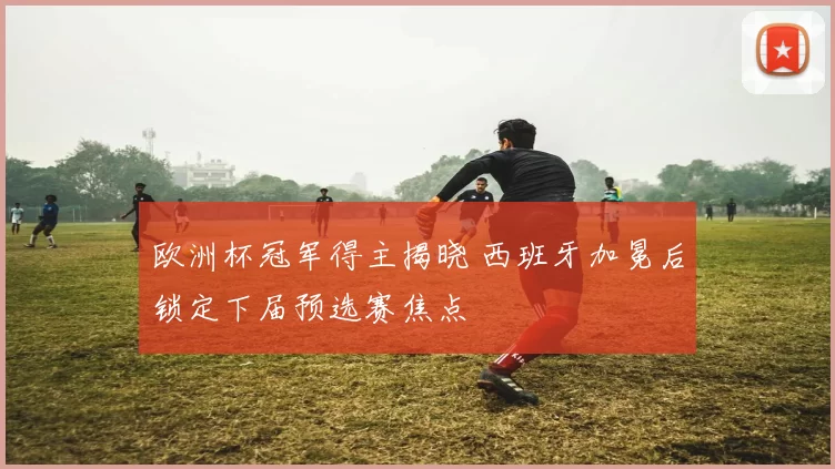 欧洲杯冠军得主揭晓 西班牙加冕后锁定下届预选赛焦点